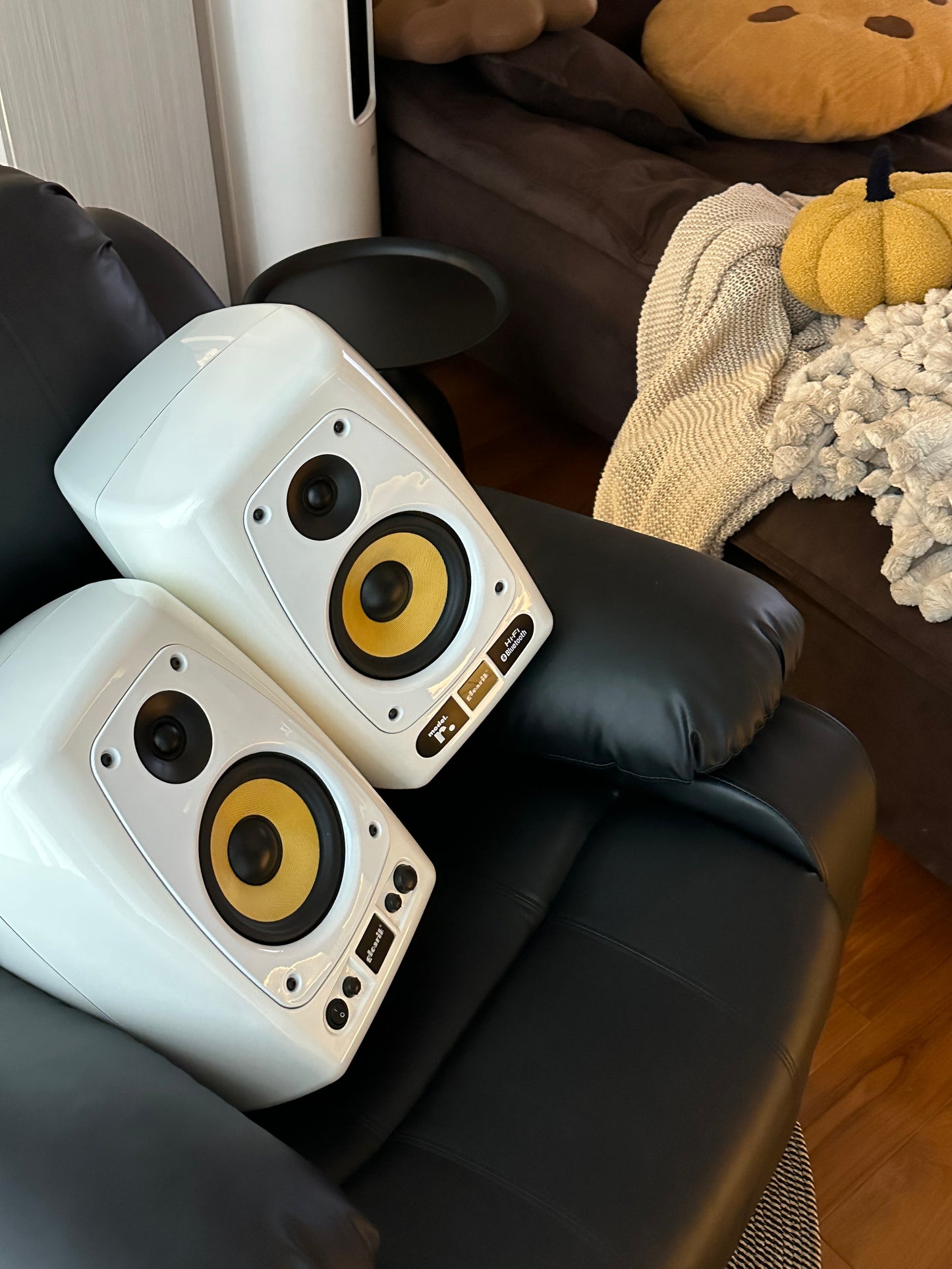 model. r. hifi version